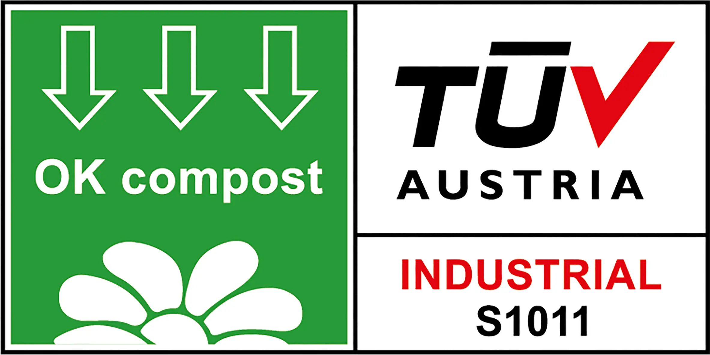 tuv certificazione istituto stampa |