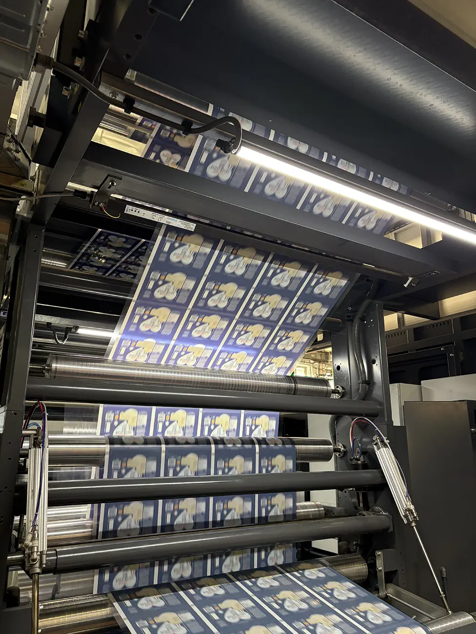 servizio flessografica istituto stampa 1 | Servizi Stampa Packaging